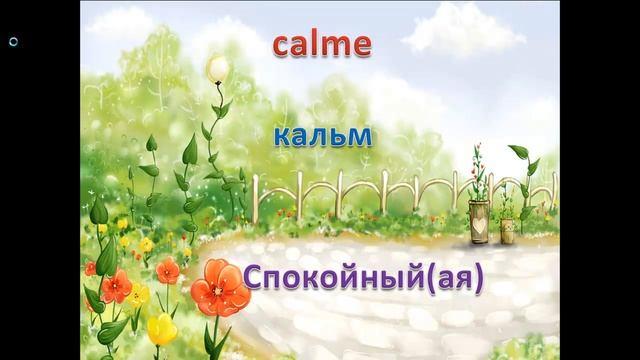 Французский язык.Урок 146 Описание человека