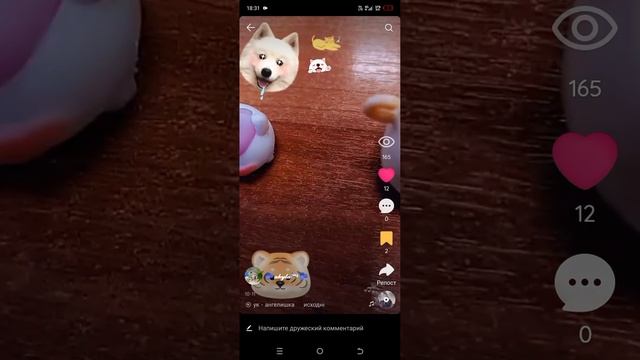 1000029610.mp4