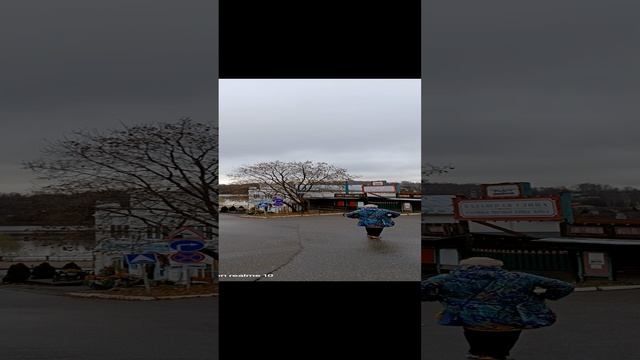 Плесс