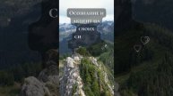 5 техник психолога #психолог #саморазвите