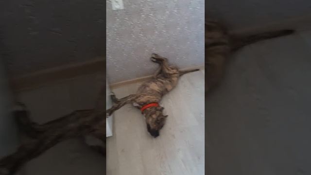 Конечно удобно!! охрана холодильника.