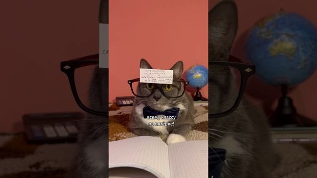 контрольная