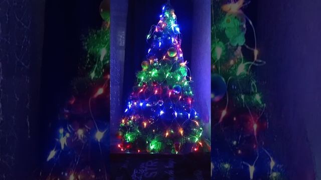 21-12-2024