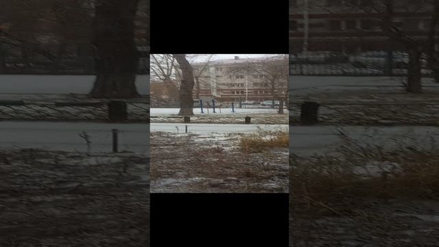 1000022177.mp4