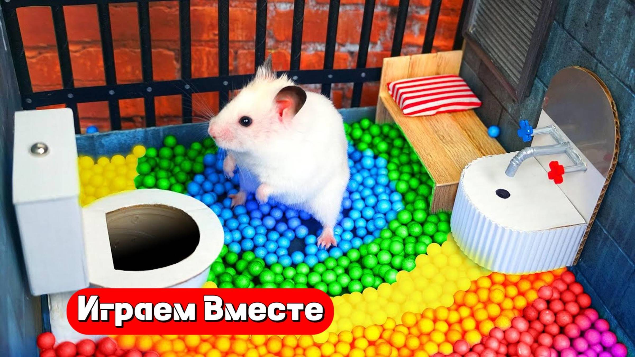 Помогаем Хомяку выбираться из сложного лабиринта 🐹🐹🐹 ТРАНСЛЯЦИЯ для детей 👍👍👍 часть 2