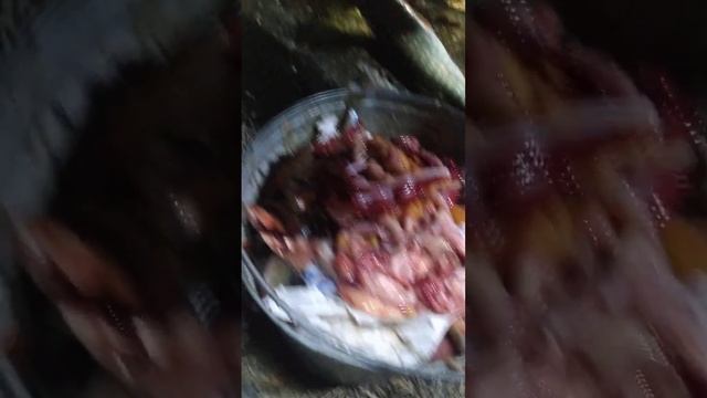 ЧИСТКА РЫБЫ😌ВЕЧЕРОМ ПОСЛЕ РЫБАЛКИ