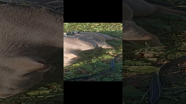 1000031012.mp4
