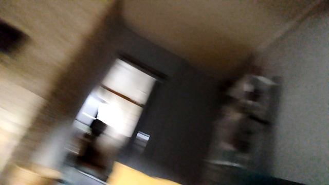 VID_20241221_124311.mp4