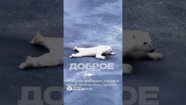 1000097107.mp4