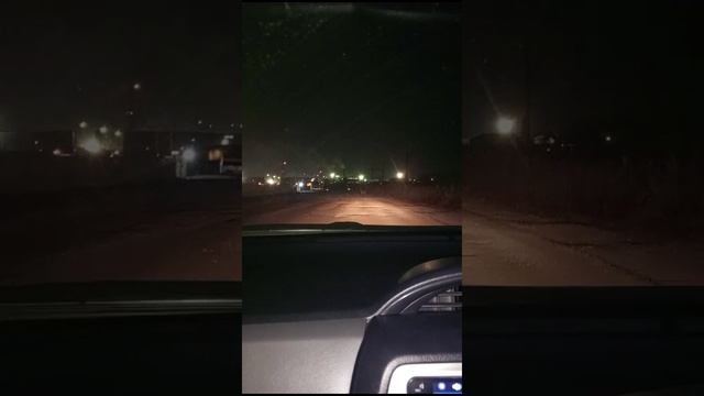 Не все тигры попали в ДТП