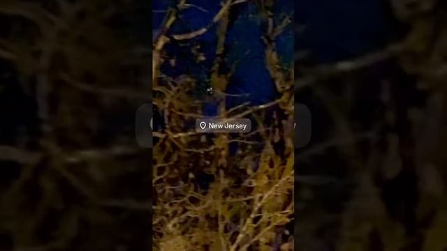 Mystery drone in New Jersy, НЛО в Нью Джерси