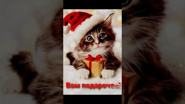 21-12-2024