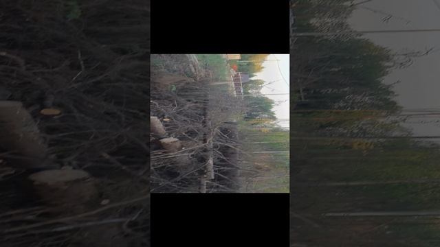 купили участок, лучшее впереди