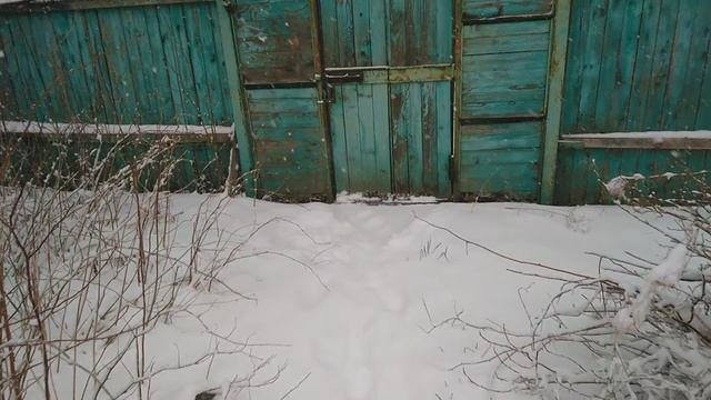 MOV_0012.mp4