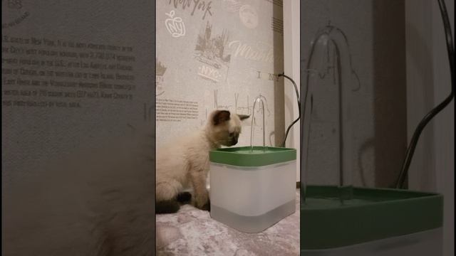 1000018611.mp4