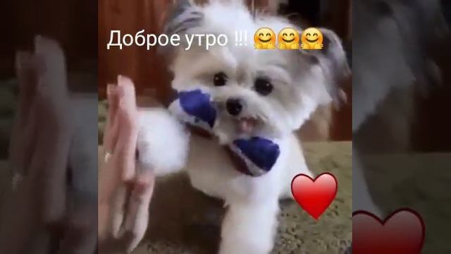 1000119302.mp4