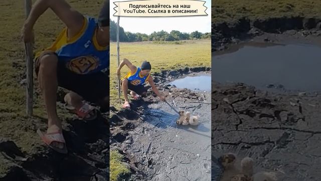 Упал