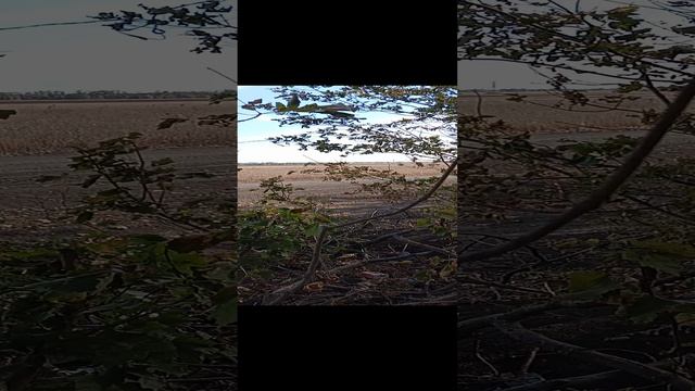 VID_20241010_130105