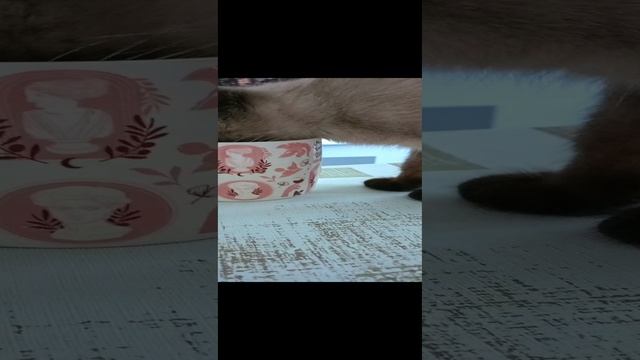 1000020394.mp4