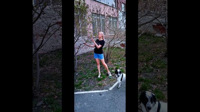 Дым 
Егор Крид и Джони #егоркрид #Джони #дым