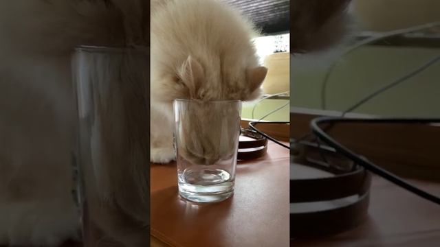 Smile because they're filming you (704)