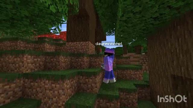 Survival part 2