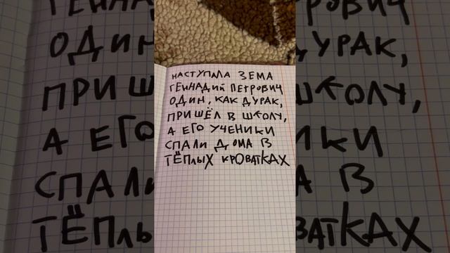 Котики ждут зиму
