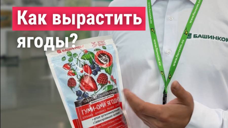Как вырастить ягоды