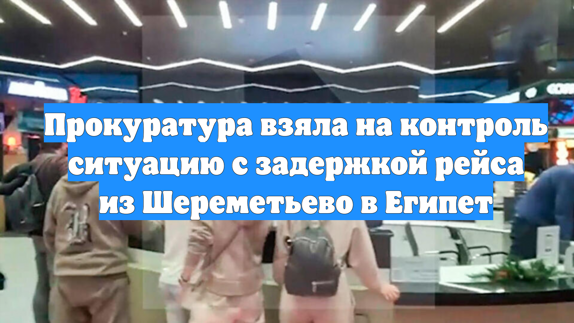 Прокуратура взяла на контроль ситуацию с задержкой рейса из Шереметьево в Египет