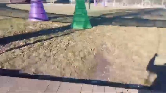 1000027976.mp4