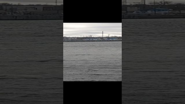 1000031726.mp4Волга.21.12.2024г.