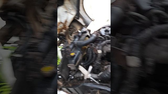 1000002234.mp4