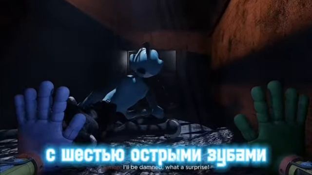 🦈🎵🎶9
