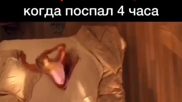 "Возраст стучится в дверь: Как он меняет наше восприятие жизни! 🎉😂" #топ