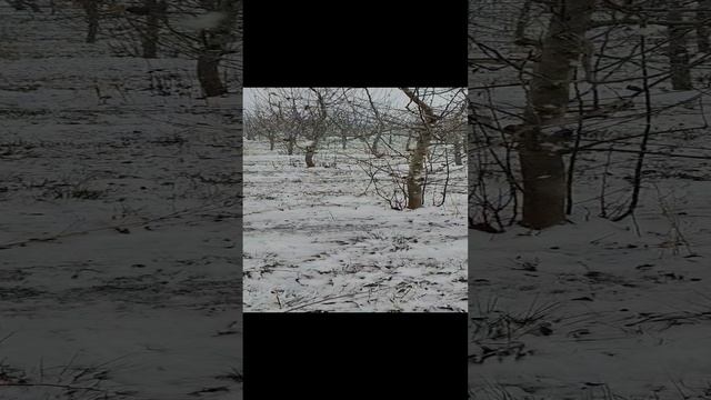 1000049967.mp4