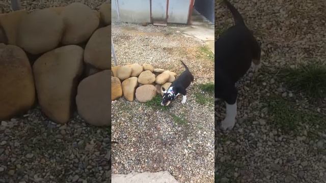 VID_20241208_180014_882.mp4