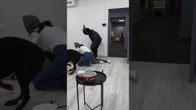 Говорили доберман хороший охранник 😂