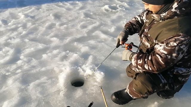 Светлые Горы Форель3 21.12.2024г.