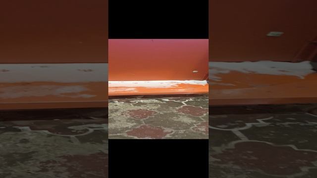 1000031208.mp4