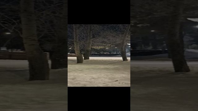 город Сосновоборск 21.12.24
