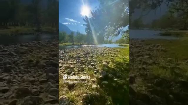 20 декабря 2024 г..mp4