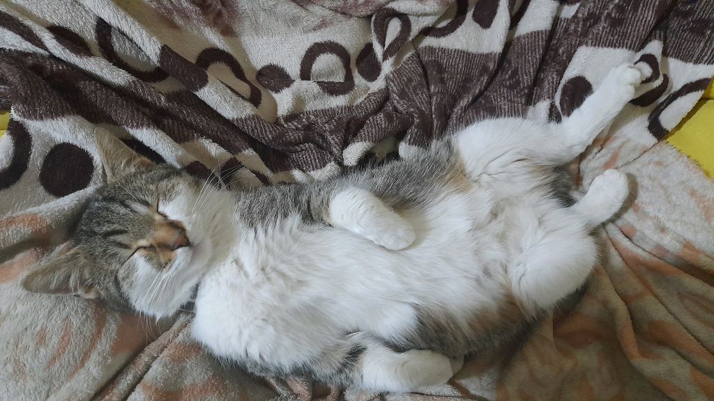 трансляция на 5 минут