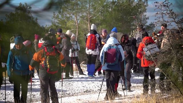 Желто-Зеленые. ТуристРФ. 14.12.2024