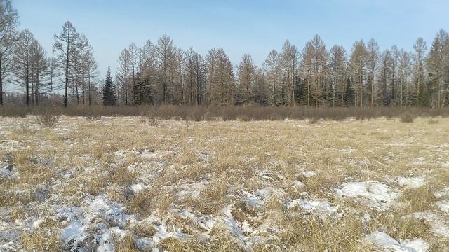 Утренняя красота .