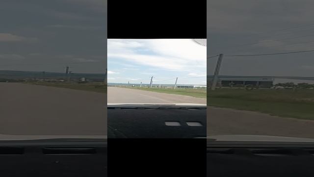 Природа Кубани. Виноградники. Еду в станицу Рассвет.