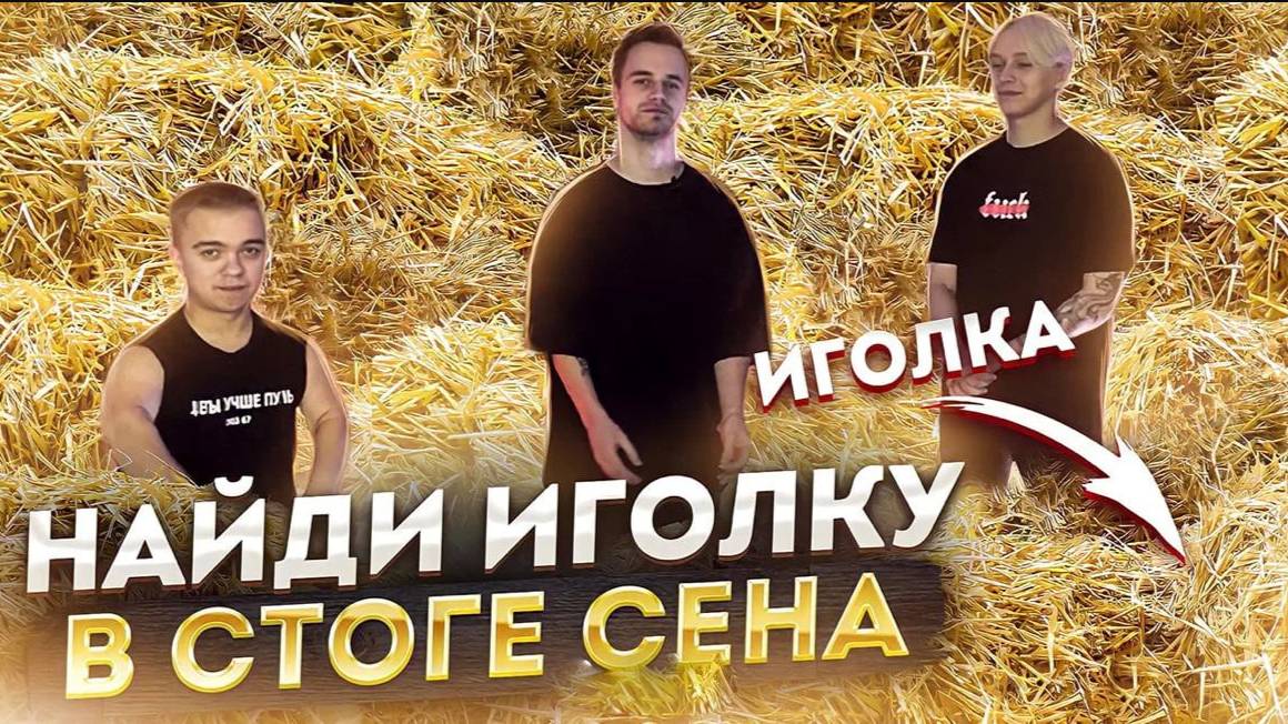 КТО СМОЖЕТ НАЙТИ ИГОЛКУ СТОГЕ СЕНА ?