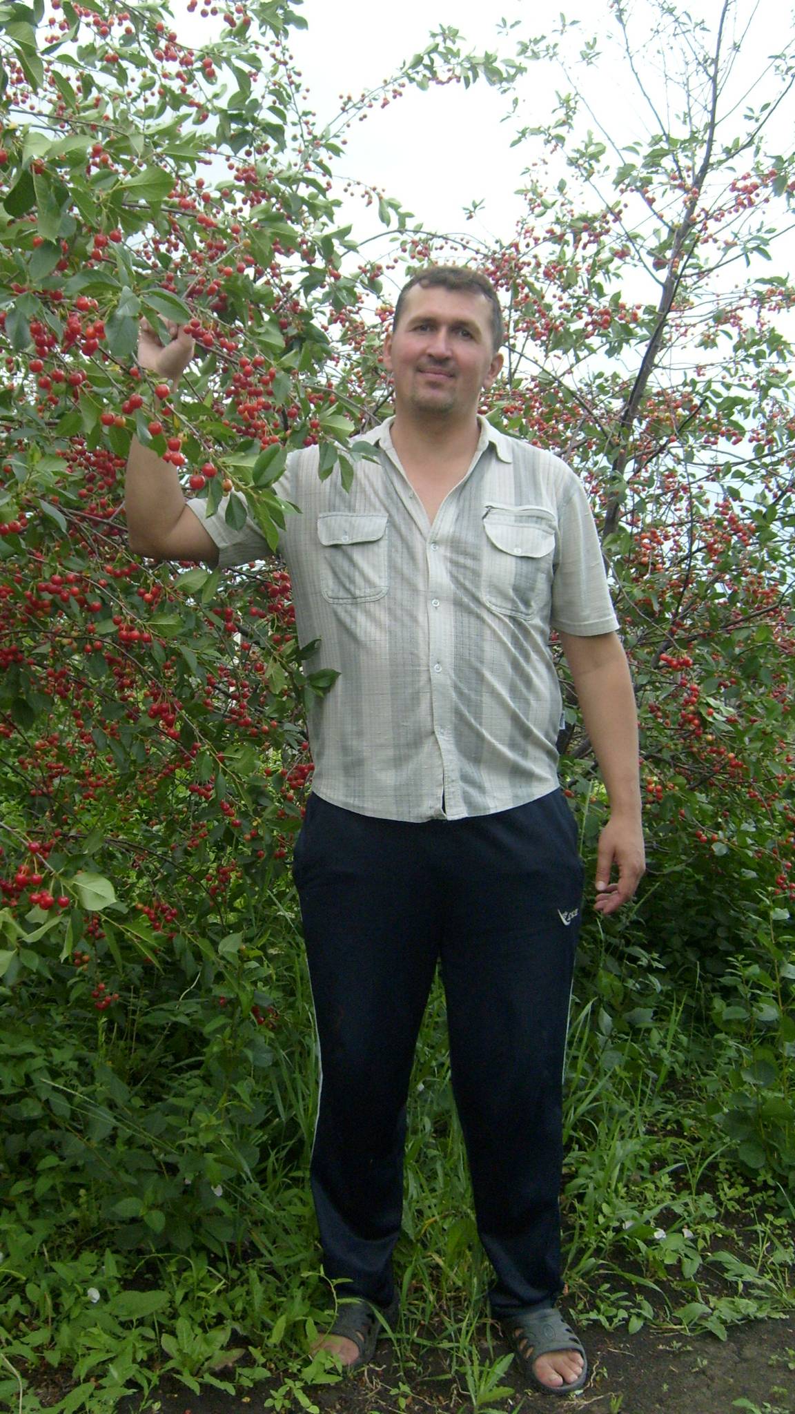 Превращение простой фотографии.