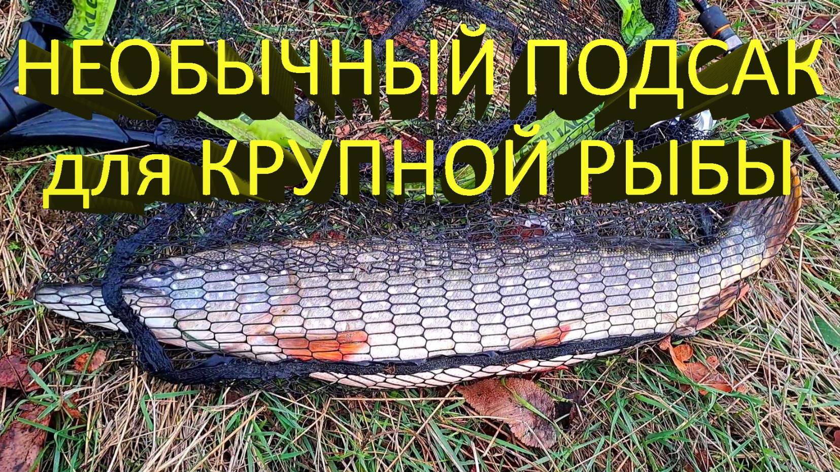 🔥 Как выбрать ПОДСАК для РЫБАЛКИ? Обзор подсака для трофейной рыбы BIG FISH TACKLE VERTICAL NET 🔥