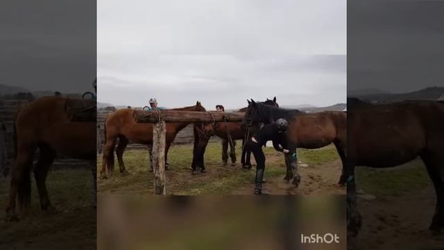 Кавказ. Покатушки