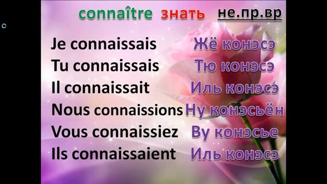 Французский язык.Урок № 155 Глаголы savoir и connaître